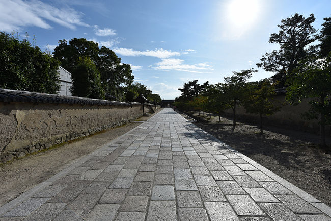 夕方・・・<br />誰もいない〜