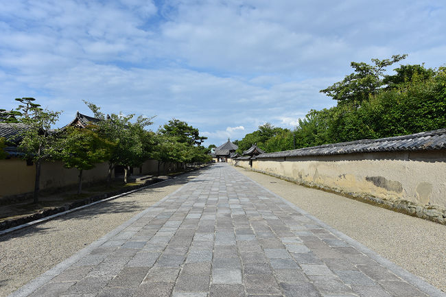 くそ暑かったね・・・<br />この日だけ、真夏日でしたね<br />