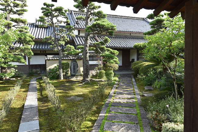 社務所の庭だったかな？