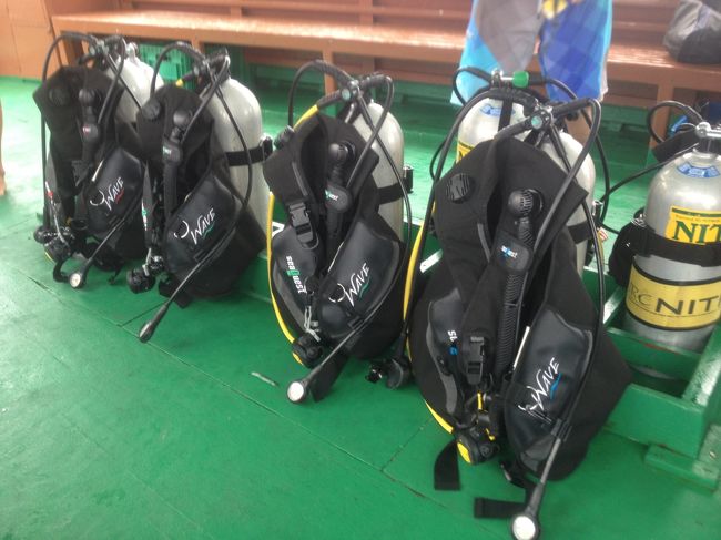 ホテルのダイビングショップを利用しました。<br />チェックインしたらすぐに予約を入れたほうがいいです。<br />チェックダイブ？あったかなぁ。