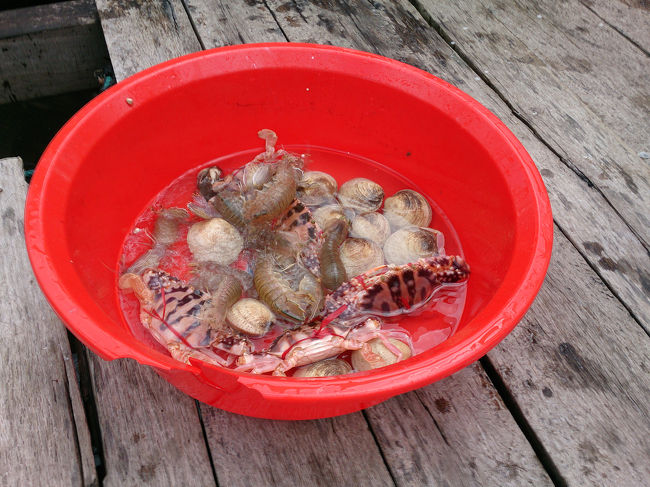 シャコなんてもう、伊勢えびぐらい大きかった。