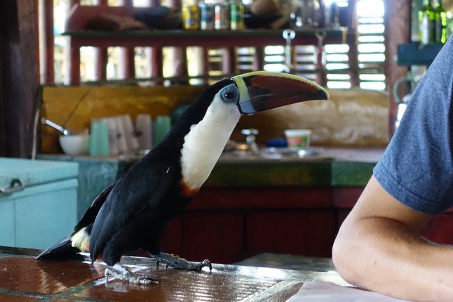 レセプションのホルフェ