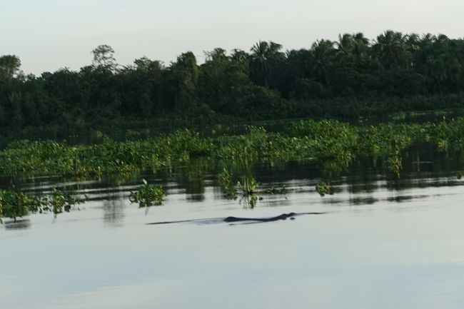 背中しか見えません