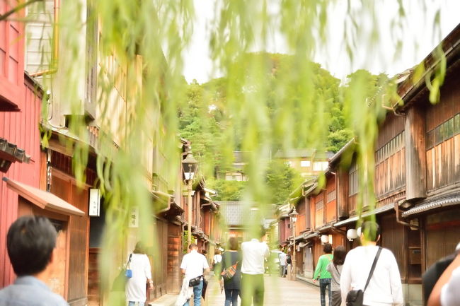 こういうアングル、やはり難しいです。