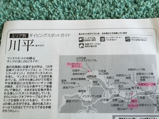 カビラと言えば…<br /><br />やはり　『マンタ』　ですよね<br /><br />私たちは２日間で４ダイブしかしていませんが、<br /><br />１本目はチェックダイブの意味もあってか、流れはほとんどないポイントでした。