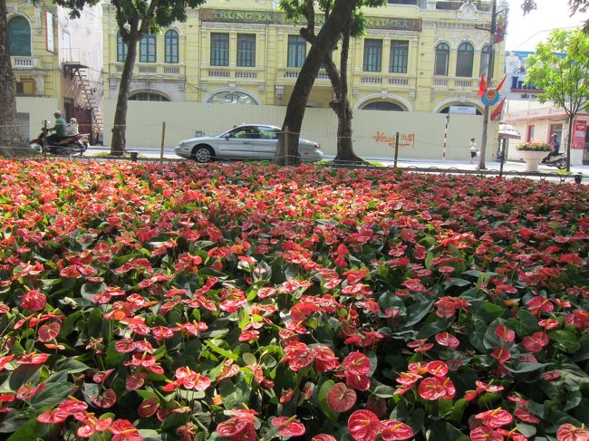 これは本物。<br />湖周辺はとても整備されており、市民の憩いの場所です。