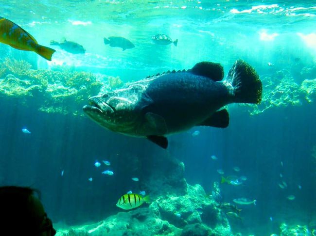 誰に邪魔されることもなくのんびり見学。<br />