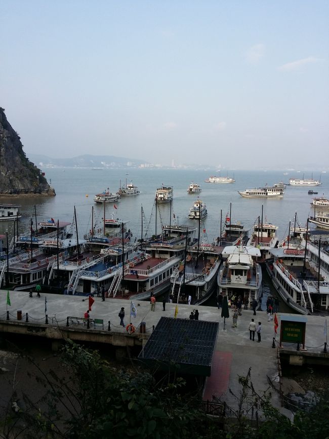 結局なにがなんだかよくわからなかったけど<br />写真とれればいいやってかんじでした！