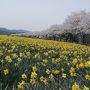 ～地元・ぐんま旅～（四万温泉）