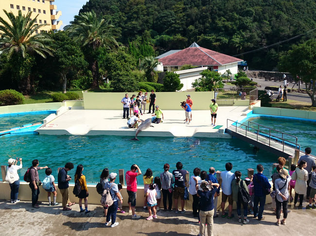 イルカプールでイルカプールショーを見たあとは、イルカと一緒に写真も撮れます。<br />200円という激安っぷり。