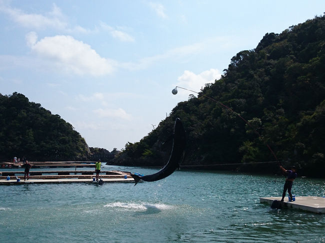 イルカショーのあとはクジラショー！！