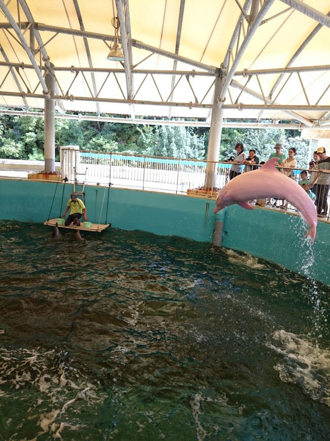 途中、練習が始まりました。<br />屋上で見学出来ます。<br />ジャーンプ！