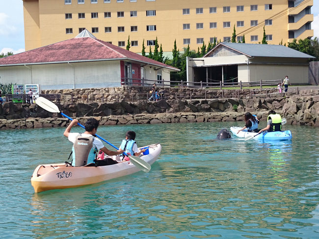 お昼食べ終わったあとは、くじらの博物館へ戻って、予約をしていたカヤック体験。<br /><br />ゴンドウクジラ(小鯨)が、三匹いるエリアをカヤックで入れるんです。<br />しかも一人1,000円で！<br />安い！
