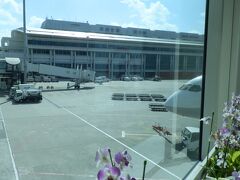 那覇空港に到着。那覇空港と言ったら、蘭。いつも綺麗ですね。

