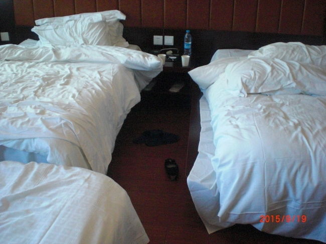 部屋が清潔ならば問題無かったですが、二度と泊まりたいとは思いません。・・夜中には中国語のバカ騒ぎに何度も目を覚まされましたし。上海はホテル代金が本当に高いですが、それ相応のランクじゃないと、ダメだって事が身に染みてわかりました。デラックスツインルームという言葉に惑わされてはダメです