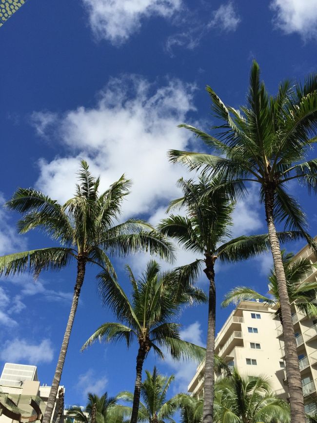 しばらく休憩して、ワイキキビーチウォークへ。青い空とヤシの木が、ハワイに来たことを実感させてくれます。<br /><br />お昼を食べていないので、お目当てのレストランに向かいます。