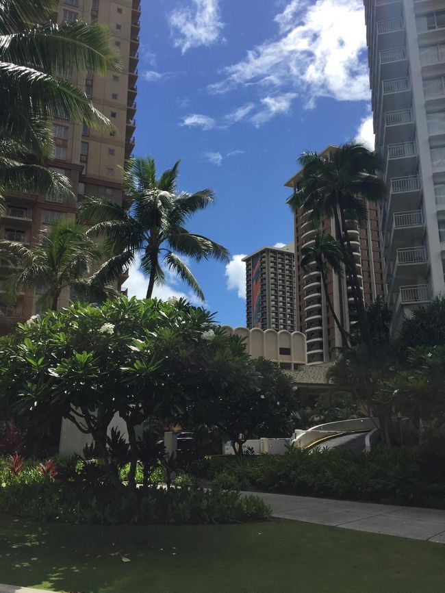 いい時間になってきたので、とりあえず何も買わずにホテルへ移動します。アラモアナセンターからはJTBのOLI OLIバスで移動。<br /><br />ヒルトンの近くを通ったところでパチリ。晴れてるぅ〜！！