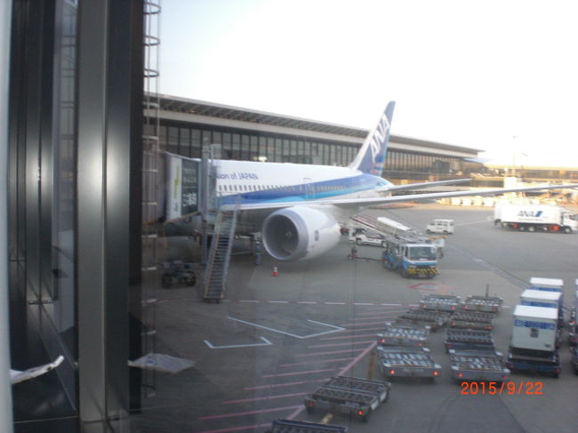 成田に無事到着、とてもスムーズな着陸でした。明日からまたセッセと仕事して、家族一緒に旅行できるよう頑張ります