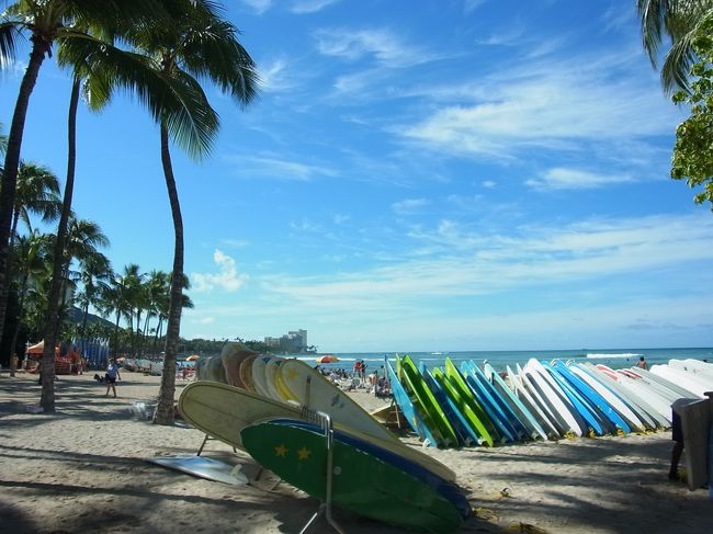 サーフボードと青い空とヤシの木。絵になるな〜。