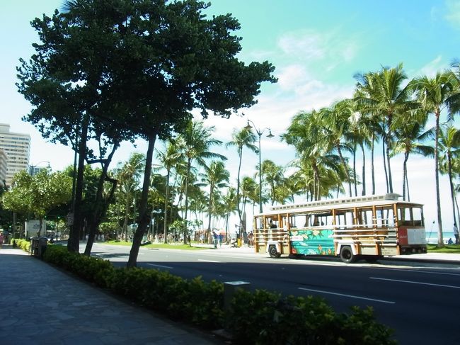 暑いけど気持ちの良い空気。いい時間になったので、バスが発着するTギャラリアbyDFSに向かいまーす。朝10時発の便です。