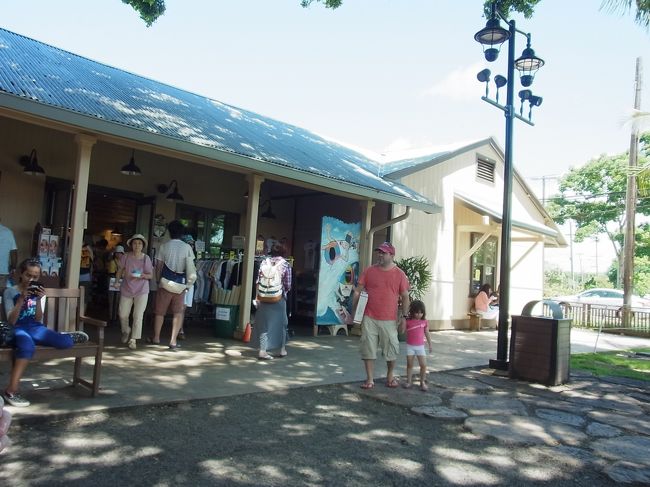 食後のデザートに、マツモトシェイブアイスをいただきま〜す♪