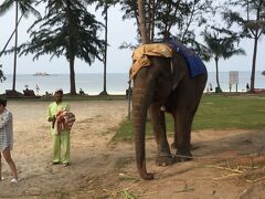 マングローブツアーから戻ると、象を発見！
一緒に写真を撮ってもらいました。
（チップは要求されましたがw）

ニルワナリゾート内で、エレファントライドのツアーもらあるので、その象さんと思われる。