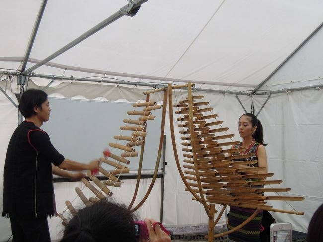 ベトナムの楽器を演奏しています。