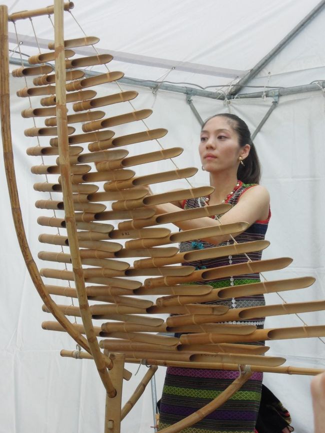 ベトナムの竹でできた楽器だそうです。<br /><br />演奏されていた方は日本人。