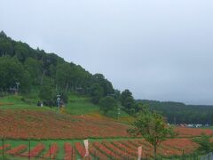 富士見高原リゾート花の里。生憎の雨