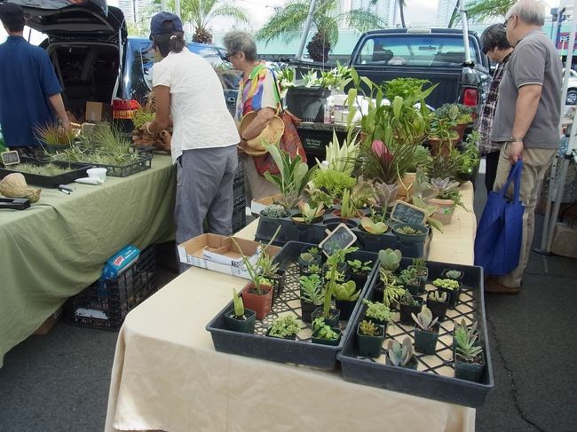 このお店ステキでした！ 観葉植物や多肉植物がたくさん並んでいて、どれも欲しいよ！ 結構お客さんで賑わっていました。<br /><br />いつかハワイに住むようになったら、その時はここに買いにこよう、うん。（←妄想）