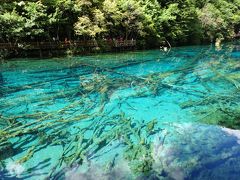 バスに乗り、五花海というところに来ました。
青は青でも、微妙に色が違っていて、鮮やかです。

