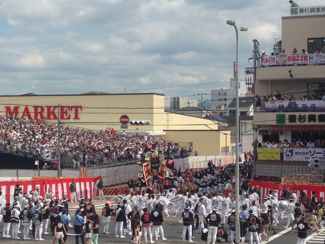 新作が登場 男が咲かす祭り華 - 本