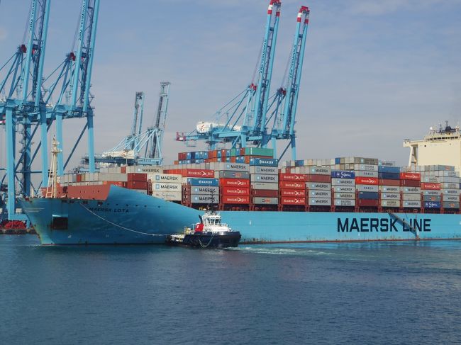 普段、こんなに近くで見る機会はありません。