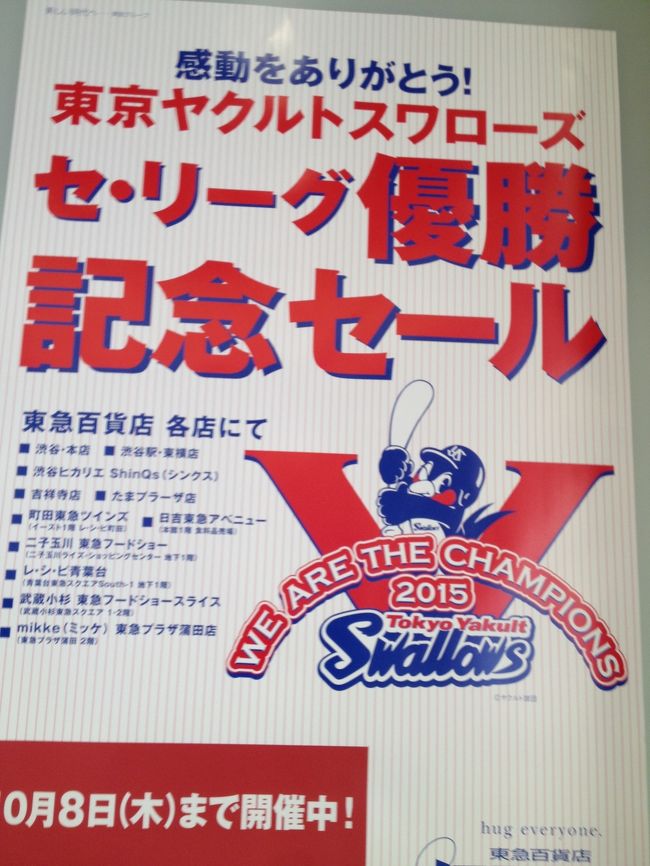 吉祥寺パルコ 35周年 記念レゴブロックで作った世界遺産展 吉祥寺 三鷹 東京 の旅行記 ブログ By りんごうさぎさん フォートラベル