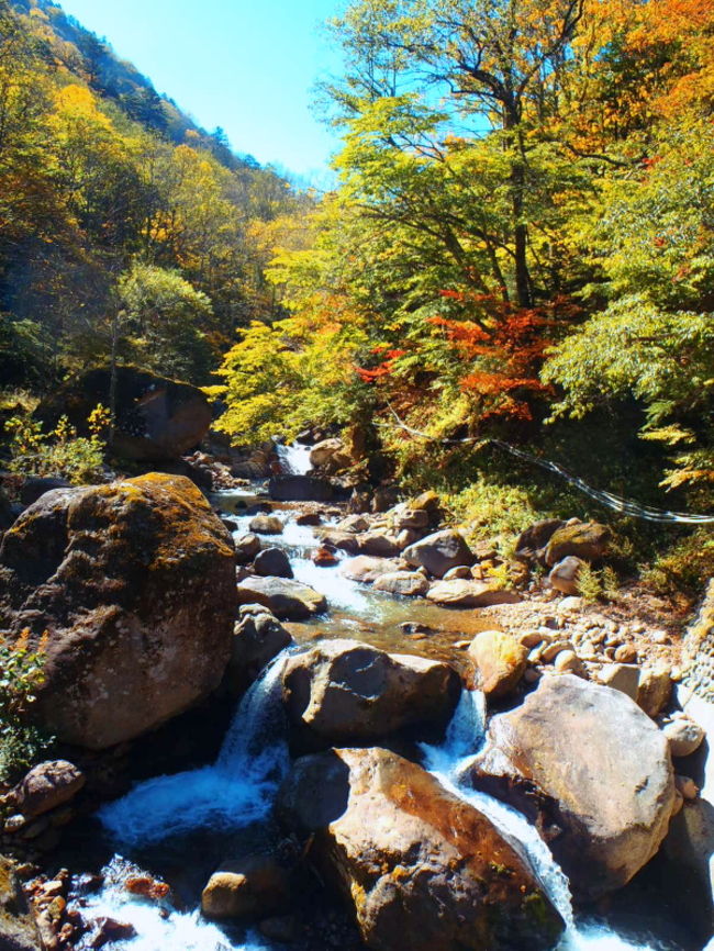 14年秋 紅葉は奥鬼怒に輝く 奥鬼怒温泉郷 栃木県 の旅行記 ブログ By Paradise Jinzeさん フォートラベル