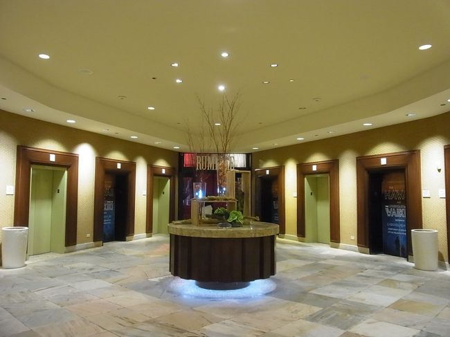 【ホテルメモ】<br />シェラトンワイキキのエレベーターはたくさんあるのであまり待たなくてもよい。部屋のシャワーは可動式なので、ハンドシャワーになるのが高ポイント。ただし、お手洗いはウォシュレットではない。日本語デスクがある。部屋でのWi-Fiは部屋番号と名字を入力すればOK。とくに問題なくPCにもつながる。