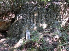 この五百羅漢を観たかったから。

今まで見た五百羅漢は、それぞれ別個のものだった。
ここの羅漢さんは一枚岩。
これは珍しい！