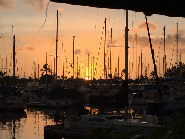 アラワイヨットハーバーの目の前に位置するチャートハウス。オープンエアで夕日がきれいに見えると人気のお店。<br /><br />窓際の席ではなかったので、ちょっと見にくかったけれど、ちょうど18：30ごろに大きな太陽が海に沈んでいく瞬間を見ることができました。