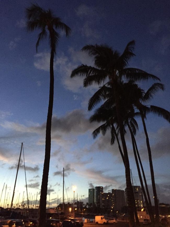 9か月も前から計画して楽しみにしていたハワイ旅行も、明日で終わりです。楽しい時間は本当にあっという間に過ぎていきます。<br /><br />滞在中、何度も心の中でつぶいているけれど、この景色を見て、もう一度つぶやきます。<br /><br />また、家族でハワイに来られますように（今度はチチもね）。