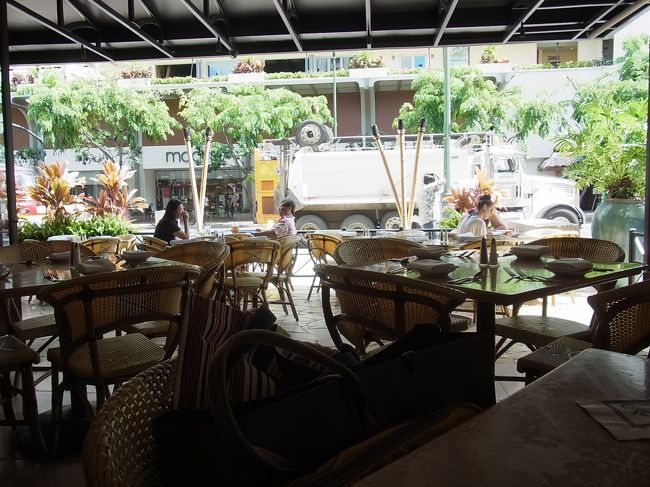 あまり遠くへは行けないので、ランチはチーズケーキファクトリーで。何回来るねんｗ