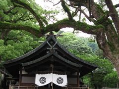 尾道最古の神社・艮(うしとら)神社です。
近くには山頂へ上るロープウェイ乗り場があります。
御神木の杉の木がとても大きいです。