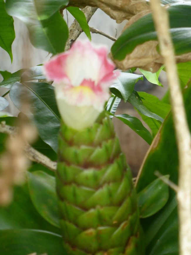 空港職員も、狂ったように態度が悪いです