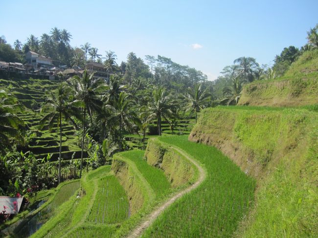 車に戻ると、「遅かったね、どこまでいったの？？」とアスちゃん。<br />向こう岸まで行ったというと、「えー？なんで？！」って...<br />上から見るだけらしい...早く言ってよー、もー