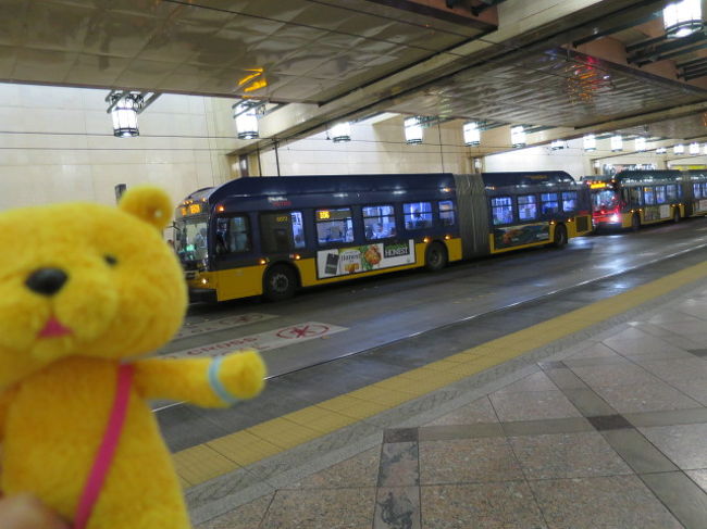 同じ駅で同じ場所にバスも止まります。面白いです。<br />アメリカのバス。なんだかゴッツイ感じです。<br />長いし大きいし。真ん中チューブのようになってるし。<br />中も少し暗い感じ。<br /><br />駅から徒歩でホテルまで移動です。どうやら歩いて行けるところにあるようです。スーツケースをガラガラさせながらてくてく歩きます。<br />シアトルは観光客が多いのであちらこちらでスーツケースを運んでいる人を見かけました。<br /><br /><br />