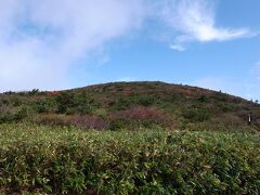 蔵王自然植物園

三宝幸神山の頂上を目指します