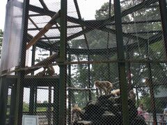 敷地内には猿などの檻がいくつかあり、ミニ動物園のようです。