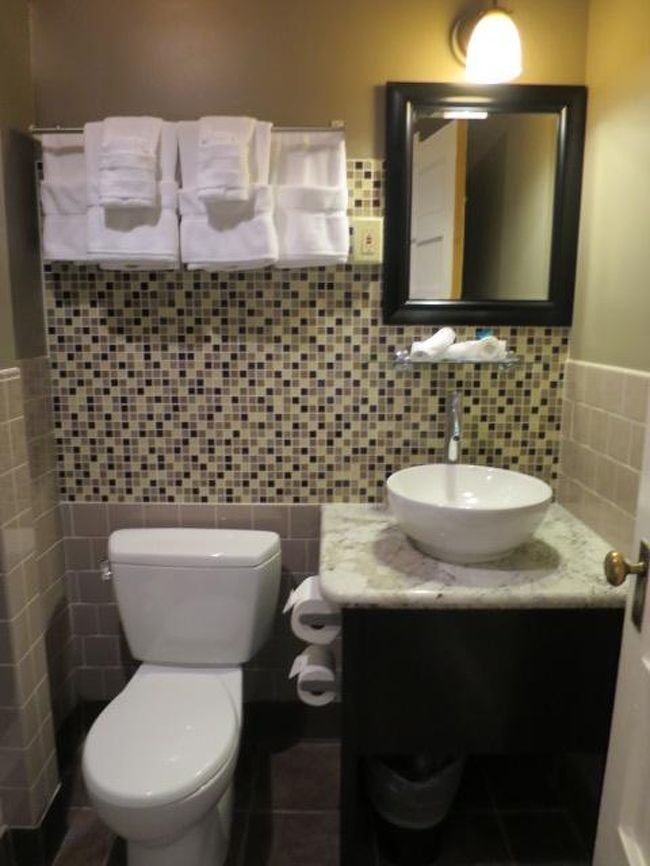 バス、トイレは少し使いづらいものでした。<br />シャワーが浴槽がないとか固定のシャワーだとか。。。<br />まぁ水は流れるし水圧もなかなかなので。。。<br />贅沢言わなければ良いと思います。<br /><br />ドライヤーはフロントで借りないとありません。<br />。。。フロントになければありません。<br /><br />お茶を飲むための湯沸かし器はないので、フロントでお湯をもらいます。<br />『何杯欲しいのか？』と言われるので『１杯』と言うと紙コップでお湯をくれます。<br /><br />