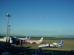 セントレアまでは自宅から2時間ほどかかるので、朝4時台に出発！
起きられてよかった(^_^;)
じんべえざめ模様の飛行機がある！あれに乗るのかな？