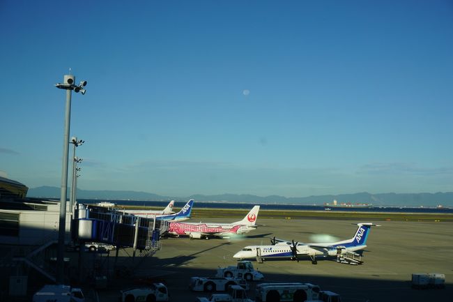 セントレアまでは自宅から2時間ほどかかるので、朝4時台に出発！<br />起きられてよかった(^_^;)<br />じんべえざめ模様の飛行機がある！あれに乗るのかな？