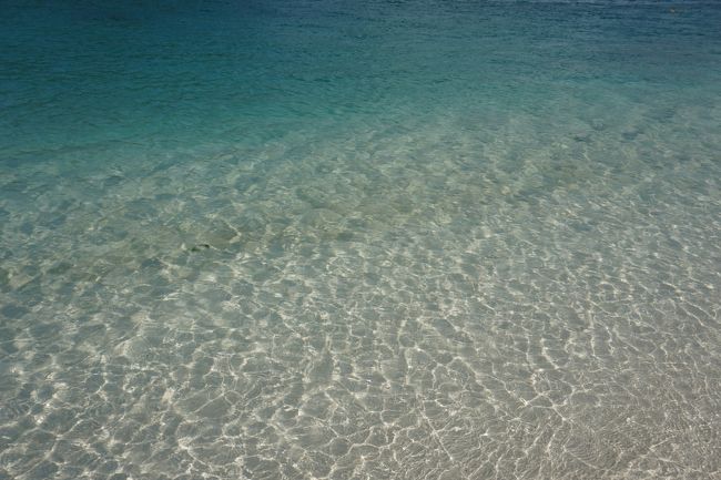 水も透明度高くて綺麗。